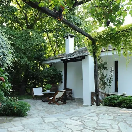 Chestnuts Tsagkarada